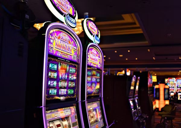 dwghoki mobile app interface showing sportsbook betting, live dealer, and slot games